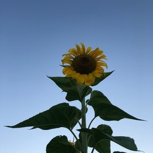 Meet your Posher, Bianca